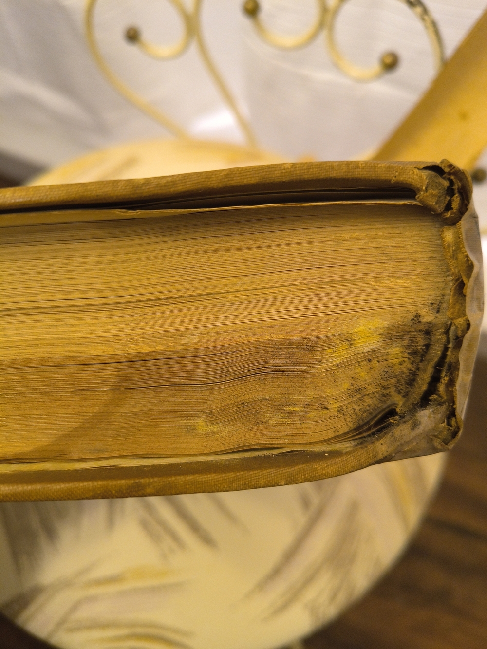Rear Collectable Book - Picture 13 of 14
